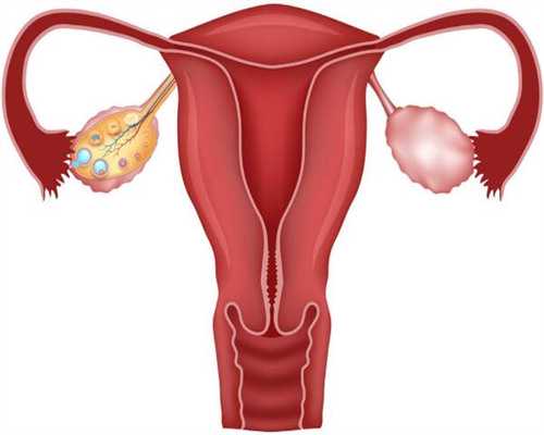 2026年下半年广州三代借卵试管最新价格明细公布！附当地知名推荐