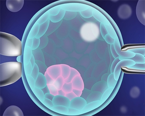 调整移植计划与自我开导的心路历程