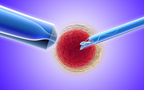 孕期营养指南：水果选择与健康饮食建议