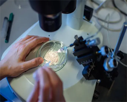 高龄女性备孕前必须做的健康检查指南