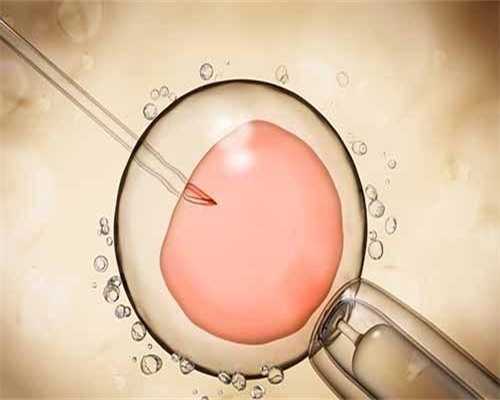 2026年南昌供卵试管婴儿费用预估附江西试管费用明细参考